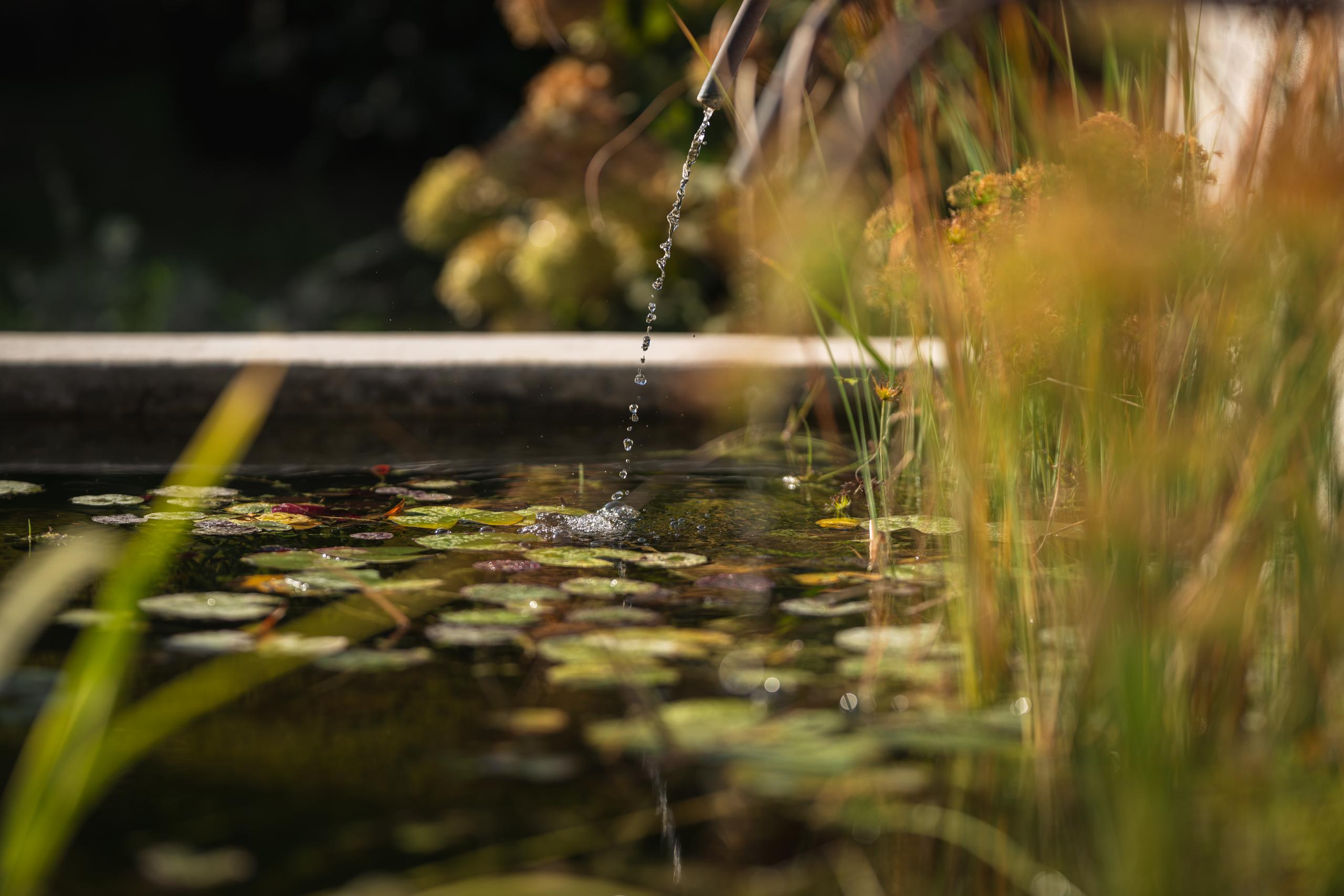 Il Giardino di Margareth