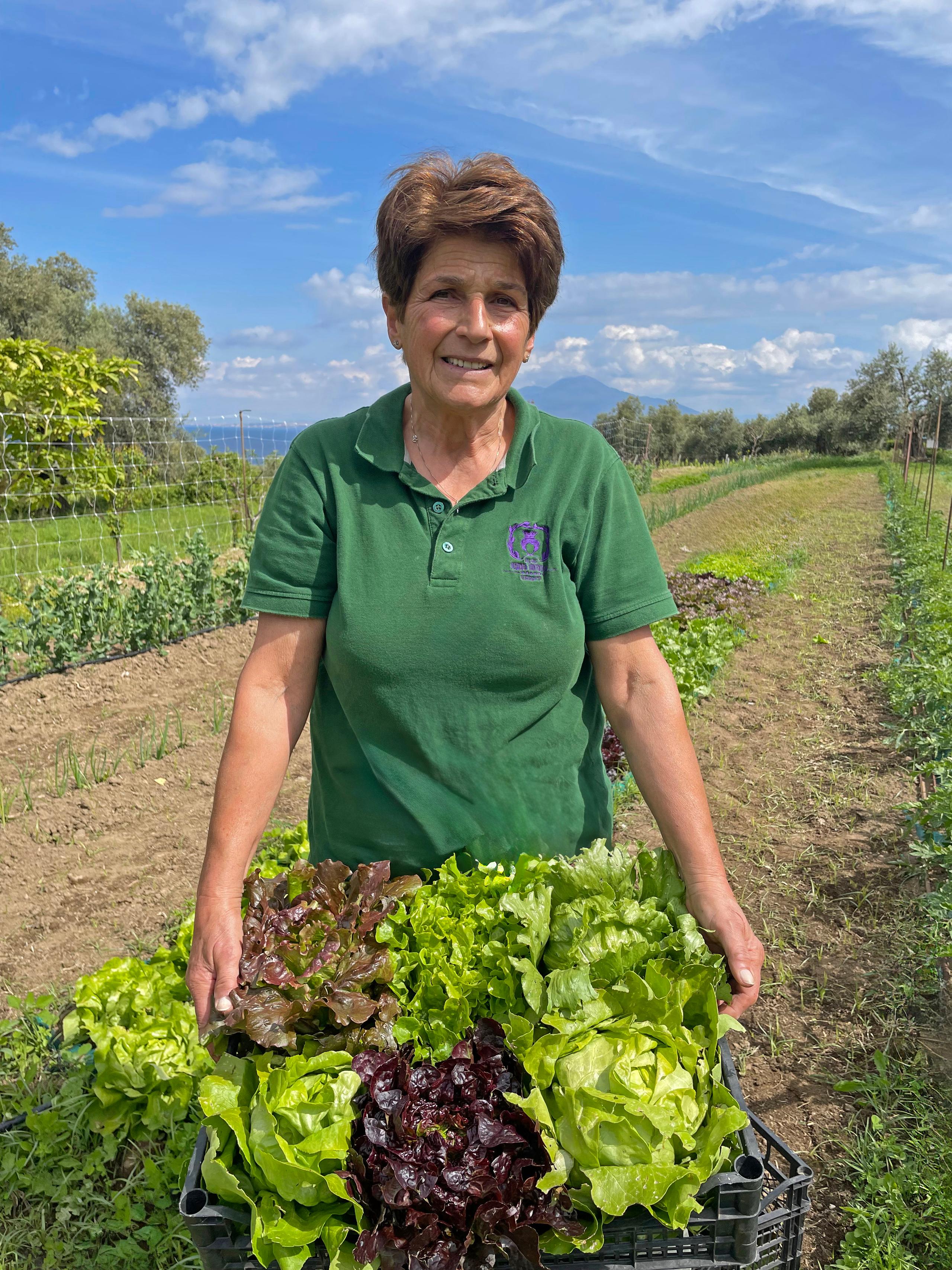 L’agricoltura biologica 