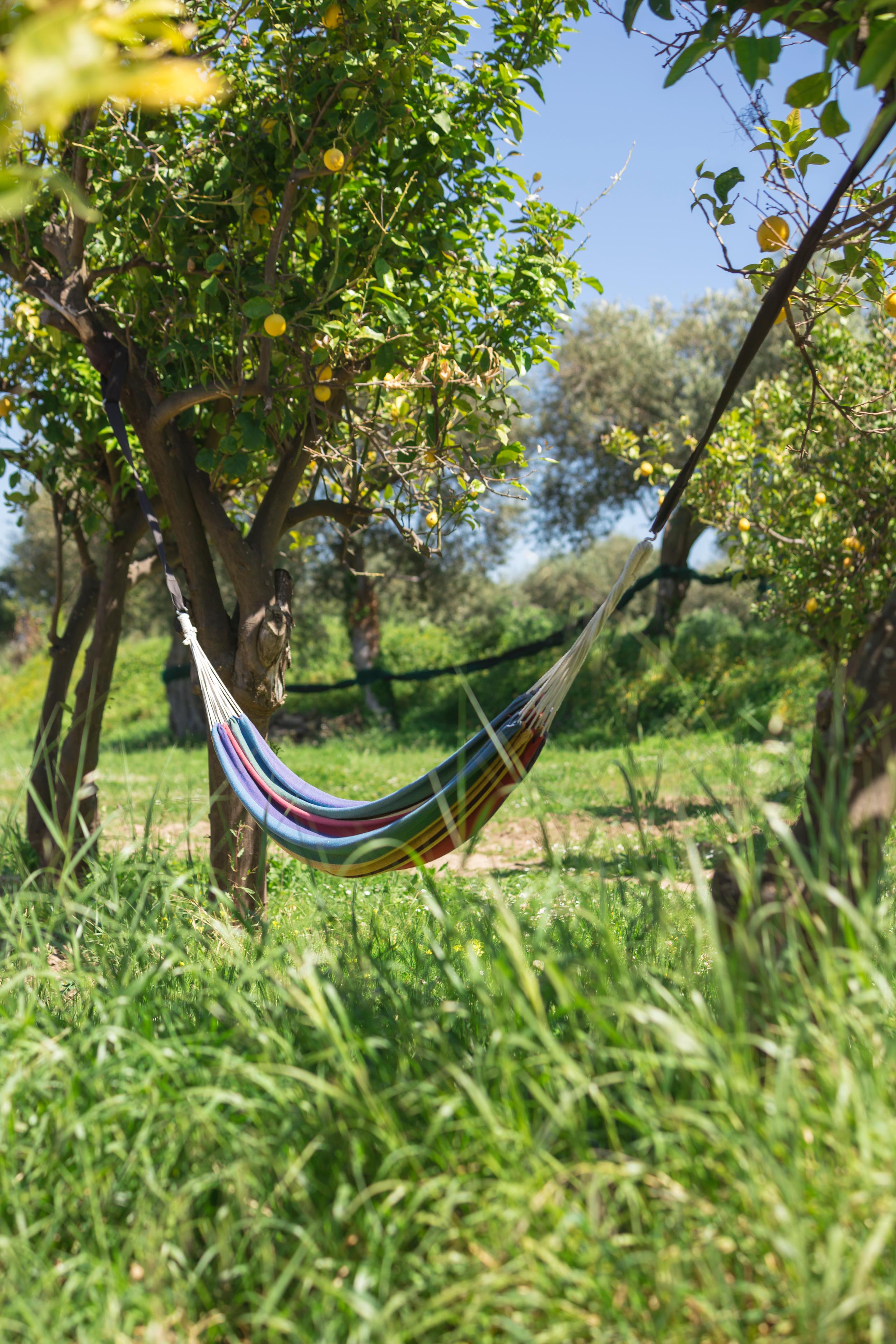 Book and Relax
